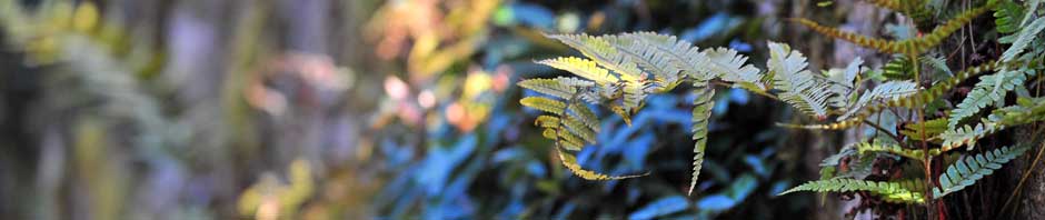 The M&M New Zealand Adventures in 3D